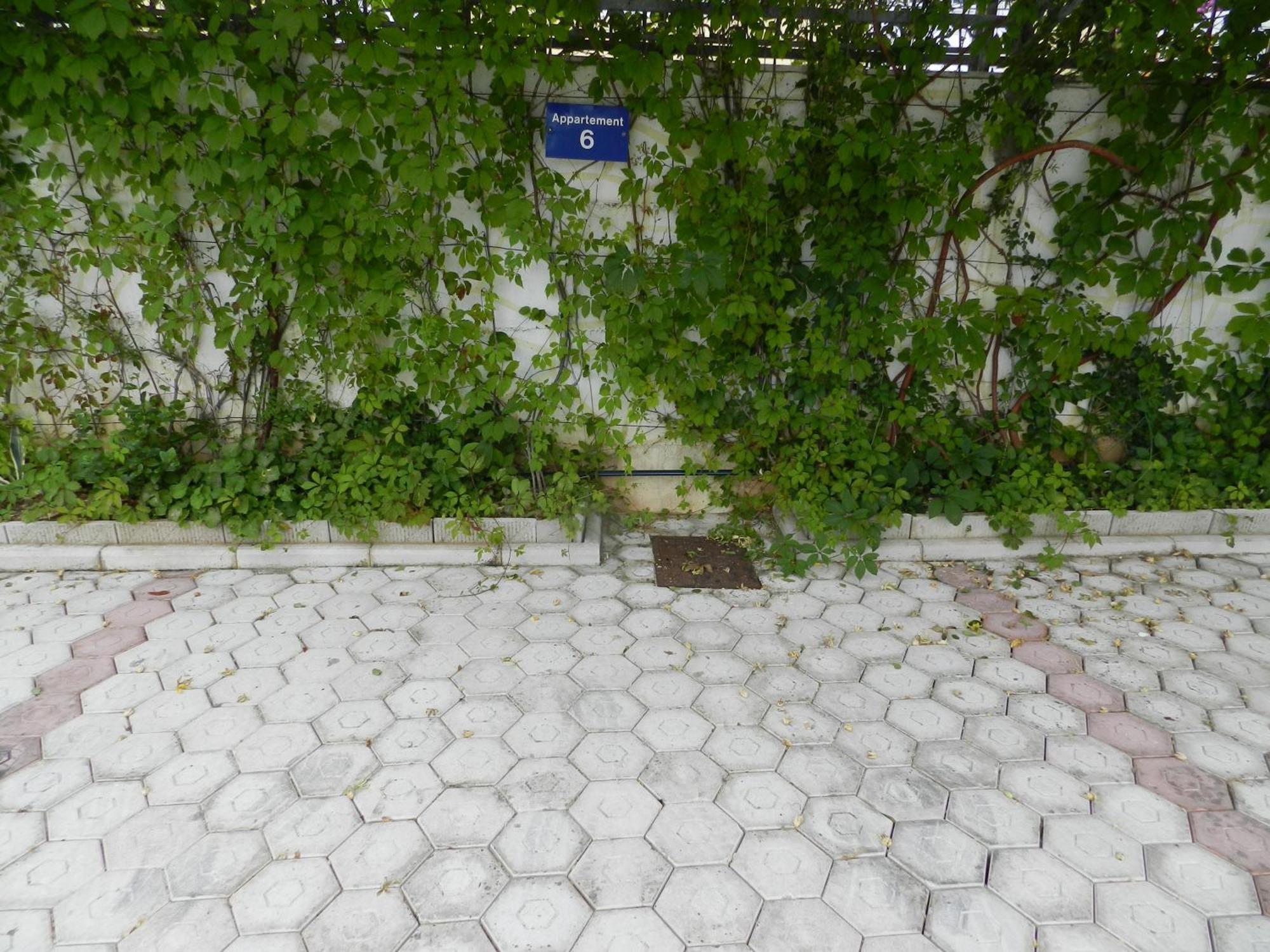 Kaskada * Marina