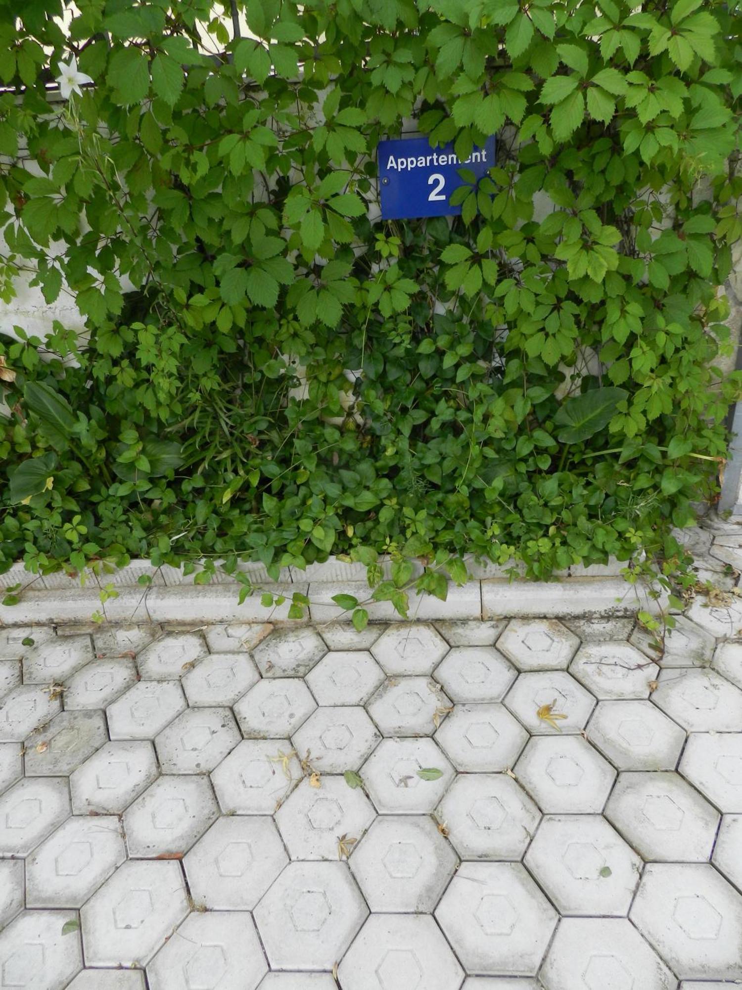 Apartment Kaskada